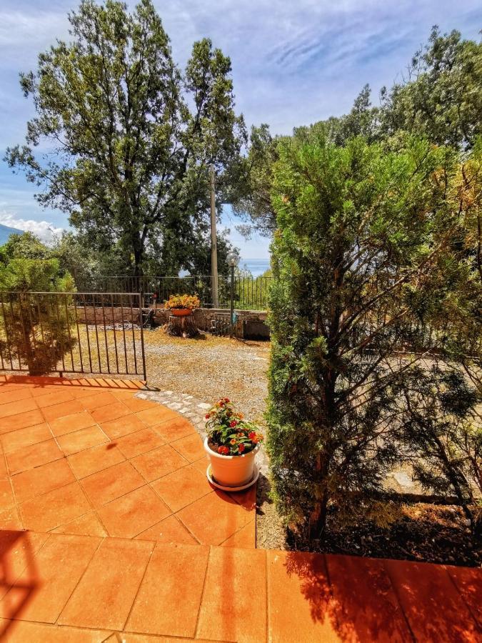 Il Casalino Apartment Maratea Exterior photo