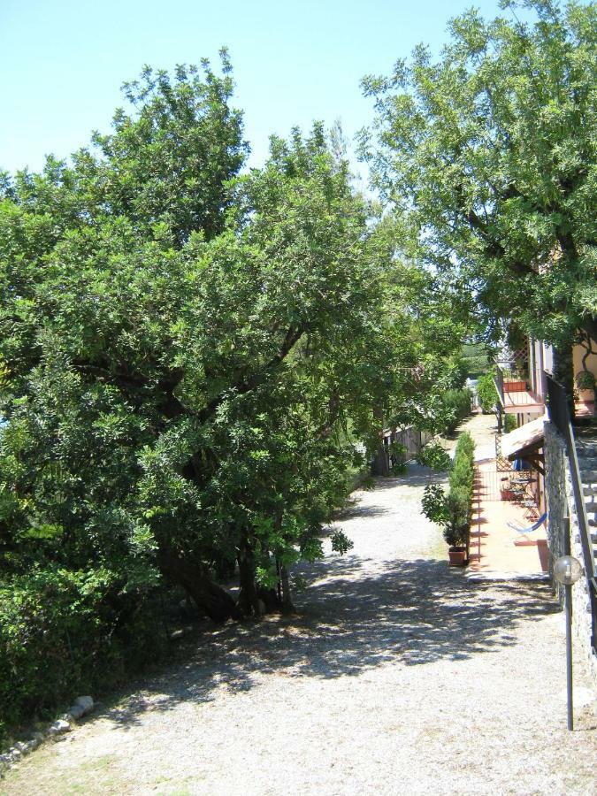 Il Casalino Apartment Maratea Exterior photo